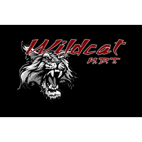 Wildcat N.D.T. llc logo, Wildcat N.D.T. llc contact details