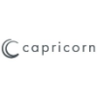 capricorn AUTOMOTIVE SAS logo, capricorn AUTOMOTIVE SAS contact details