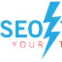 SEO Traffic Online logo, SEO Traffic Online contact details