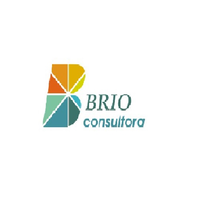 Brio Consulting logo, Brio Consulting contact details