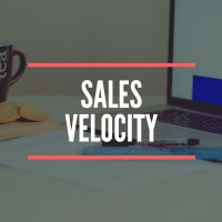 Sales Velocity logo, Sales Velocity contact details