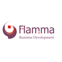 Flamma Business Development BV logo, Flamma Business Development BV contact details