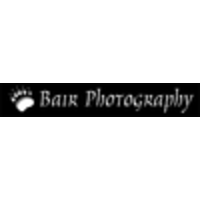 Bair Photography logo, Bair Photography contact details