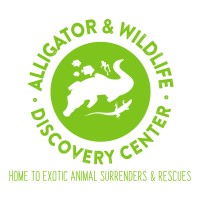 Alligator Attraction LLC logo, Alligator Attraction LLC contact details