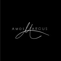 Amos Marcus Group Pte Ltd logo, Amos Marcus Group Pte Ltd contact details