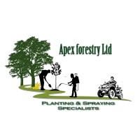 Apex Forestry Ltd logo, Apex Forestry Ltd contact details