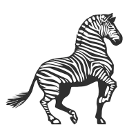 Zebra Wines logo, Zebra Wines contact details