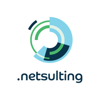 WSI Netsulting logo, WSI Netsulting contact details