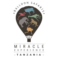 Miracle Experience Balloon logo, Miracle Experience Balloon contact details