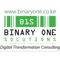 Binary One Solutions logo, Binary One Solutions contact details