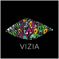 VIZIA logo, VIZIA contact details