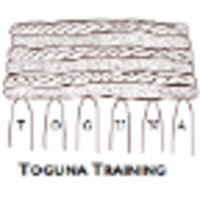 Toguna Training logo, Toguna Training contact details