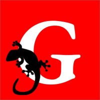 Gecko Company | International Scale-ups & Start-ups logo, Gecko Company | International Scale-ups & Start-ups contact details