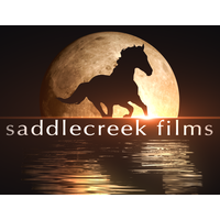 Saddlecreek Films logo, Saddlecreek Films contact details