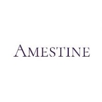 Amestine logo, Amestine contact details