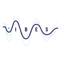 Vibes Srl logo, Vibes Srl contact details