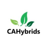 CAHybrids logo, CAHybrids contact details