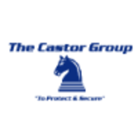 The Castor Group LLC logo, The Castor Group LLC contact details