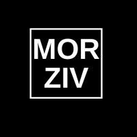 Mor Ziv - Real Estate Investments and Innovation logo, Mor Ziv - Real Estate Investments and Innovation contact details