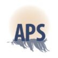 APS Team Solutions logo, APS Team Solutions contact details