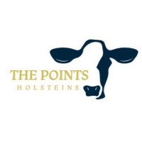 The Points Holsteins logo, The Points Holsteins contact details