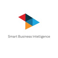 SMART BUSINESS INTELLIGENCE logo, SMART BUSINESS INTELLIGENCE contact details