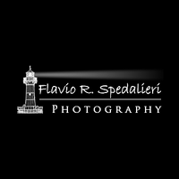 Flavio R. Spedalieri logo, Flavio R. Spedalieri contact details