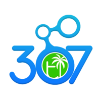 TI 307 Consulting logo, TI 307 Consulting contact details