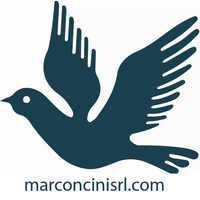 MARCONCINI SRL logo, MARCONCINI SRL contact details