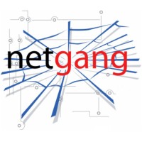 NetGang S.a.s. logo, NetGang S.a.s. contact details