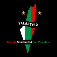 Club Deportivo Palestino logo, Club Deportivo Palestino contact details