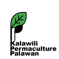 kalawili logo, kalawili contact details