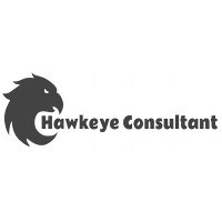 Hawkeye Consultant logo, Hawkeye Consultant contact details