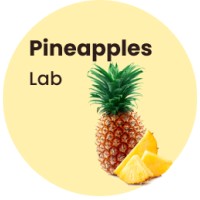 Pineapples Lab logo, Pineapples Lab contact details