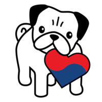 Pug Rescue of Korea logo, Pug Rescue of Korea contact details