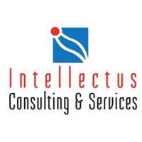 Intellectus  Consulting & Services logo, Intellectus  Consulting & Services contact details