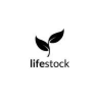 Lifestock, Inc. logo, Lifestock, Inc. contact details