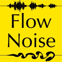 Flow Noise Group logo, Flow Noise Group contact details