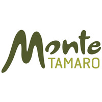 Monte Tamaro SA logo, Monte Tamaro SA contact details