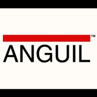 Anguil Environmental Systems, Inc. logo, Anguil Environmental Systems, Inc. contact details