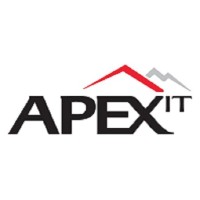 NGI APEX IT INDIA PRIVATE LIMITED logo, NGI APEX IT INDIA PRIVATE LIMITED contact details