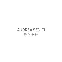 ANDREA SEDICI logo, ANDREA SEDICI contact details