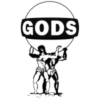 GODS, s r.o. logo, GODS, s r.o. contact details