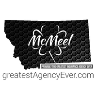 Leo P. McMeel Insurance, Inc. logo, Leo P. McMeel Insurance, Inc. contact details