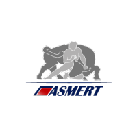 Asmert Projelendirme ve Fabrika Sistemleri logo, Asmert Projelendirme ve Fabrika Sistemleri contact details