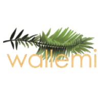 Wallemi logo, Wallemi contact details