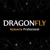 Dragonfly Asesoría Profesional logo, Dragonfly Asesoría Profesional contact details