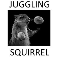 Juggling Squirrel, LLC logo, Juggling Squirrel, LLC contact details