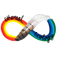 Ethereal Ecology logo, Ethereal Ecology contact details