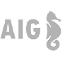 AIG SL logo, AIG SL contact details